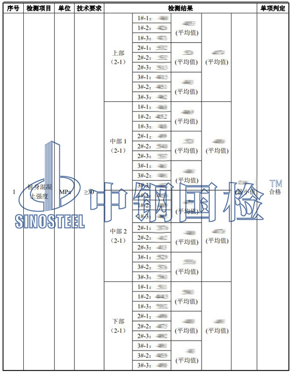 桥梁桩基检测项目效果